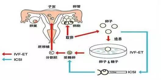 学声乐基础歌曲